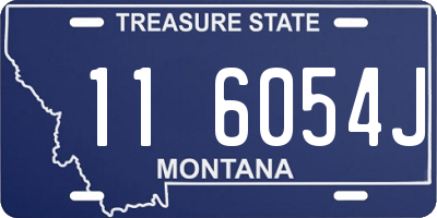 MT license plate 116054J