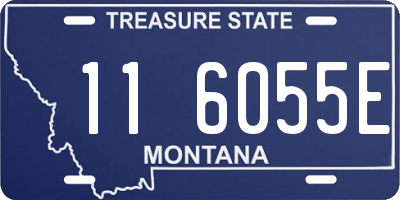 MT license plate 116055E