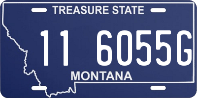MT license plate 116055G