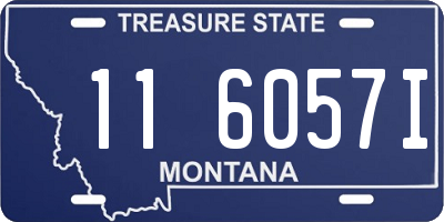 MT license plate 116057I