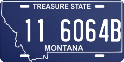 MT license plate 116064B