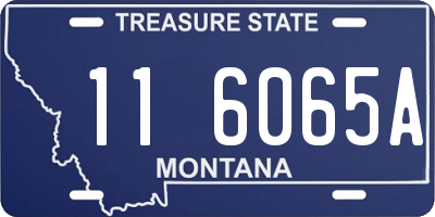MT license plate 116065A