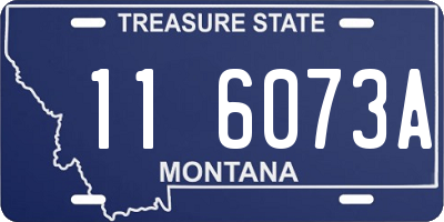 MT license plate 116073A