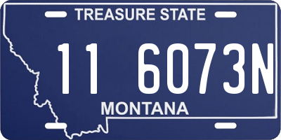 MT license plate 116073N