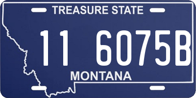MT license plate 116075B