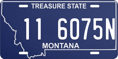 MT license plate 116075N