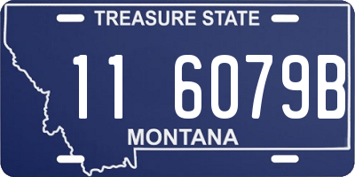 MT license plate 116079B