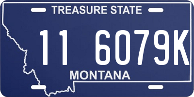 MT license plate 116079K