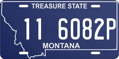 MT license plate 116082P