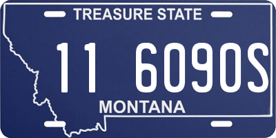 MT license plate 116090S