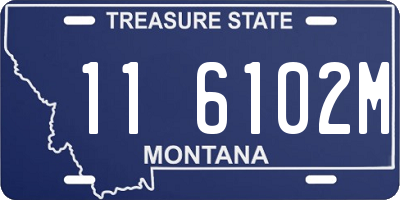 MT license plate 116102M