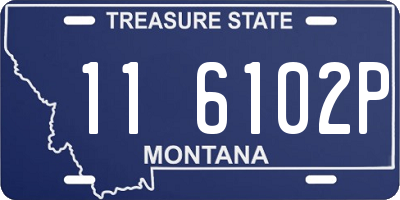 MT license plate 116102P
