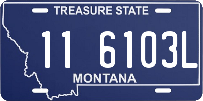 MT license plate 116103L