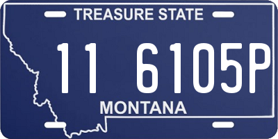 MT license plate 116105P
