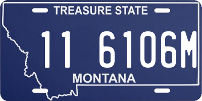 MT license plate 116106M