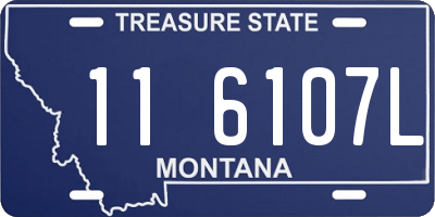 MT license plate 116107L