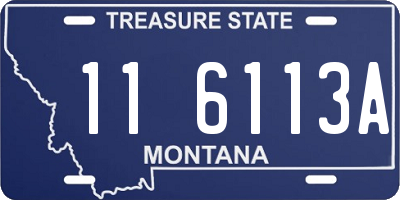 MT license plate 116113A