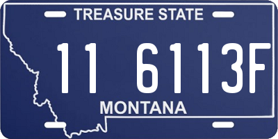 MT license plate 116113F