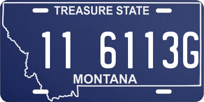 MT license plate 116113G