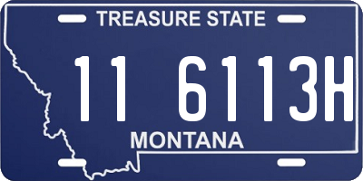 MT license plate 116113H