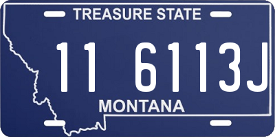 MT license plate 116113J