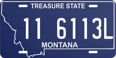 MT license plate 116113L