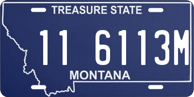 MT license plate 116113M