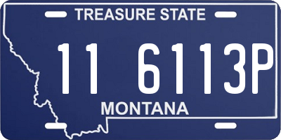 MT license plate 116113P