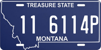 MT license plate 116114P