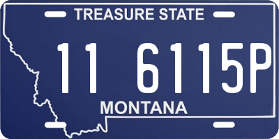 MT license plate 116115P