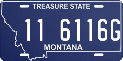 MT license plate 116116G