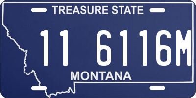 MT license plate 116116M