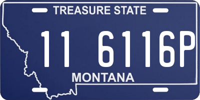 MT license plate 116116P
