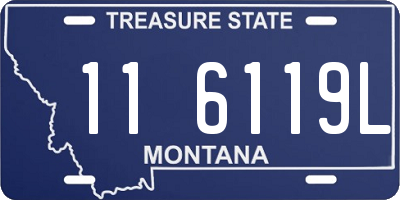 MT license plate 116119L