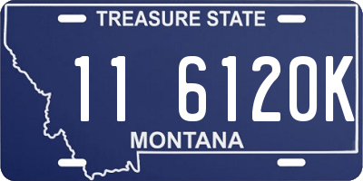 MT license plate 116120K