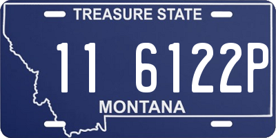 MT license plate 116122P