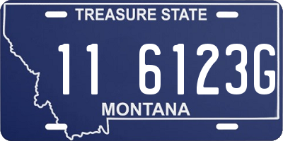 MT license plate 116123G
