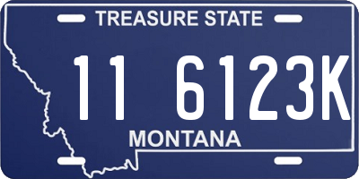 MT license plate 116123K