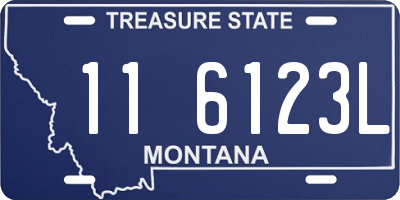 MT license plate 116123L