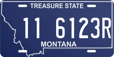 MT license plate 116123R