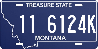 MT license plate 116124K