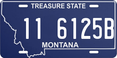 MT license plate 116125B