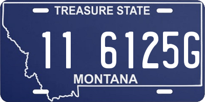 MT license plate 116125G