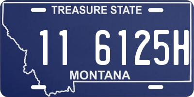 MT license plate 116125H