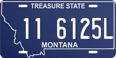 MT license plate 116125L