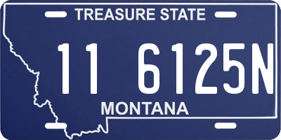 MT license plate 116125N