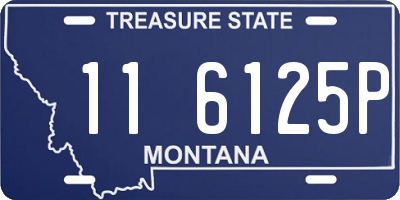 MT license plate 116125P