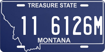 MT license plate 116126M