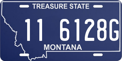 MT license plate 116128G