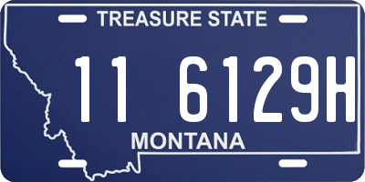 MT license plate 116129H